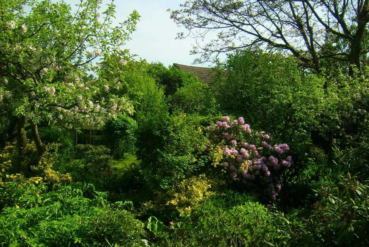 Ferienhaus Annemarie Senftenberg Buitenkant foto