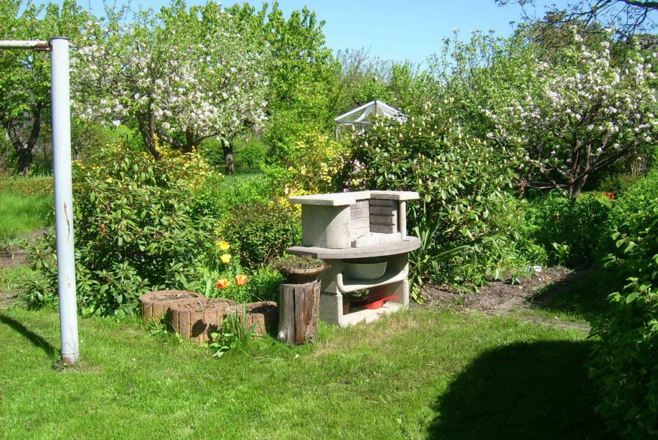Ferienhaus Annemarie Senftenberg Buitenkant foto